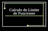 Calculo de Limite de Funciones. Limites de funciones Algebraicas.