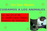 Esc. Sec, Of. N° 48 Lic. Adolfo López Mateos Proyecto de Animales.