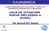 Centro Regional de Prevención y Control de Epidemias Emergencias y Desastres SALA DE SITUACIÓN NUEVA INFLUENZA A (H1N1) 30 AGOSTO 2009 CAJAMARCA.