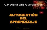 C.P Diana Lilia Gurrola Ríos DLGR PROFORDEMS. Actuar (Alumno activo) Reflexionar (Alumno reflexivo) Teorizar ( Alumno teórico) Experimentar (Alumno pragmático)