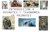 INTRODUCCIÓN A PRIMATES Y TAXONOMÍA DE PRIMATES. Taxonomy Cada taxón nos dice más acerca de adaptación de ese grupo al medio ambiente Declaraciones biológica.