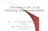 Introducción a la Cultura Organizacional M.C. José Ángel Moctezuma Pérez .
