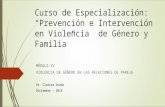 Curso de Especialización: “Prevención e Intervención en Violencia de Género y Familia” MÓDULO IV VIOLENCIA DE GÉNERO EN LAS RELACIONES DE PAREJA Ps. Clarisa.