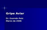 Gripe Aviar Dr. Guzmán Ruiz Marzo de 2006. Aspectos preocupantes de H5N1 Brote 1997 (Hong-Kong) afectó a 18 pacientes y mató a 6 Brote 1997 (Hong-Kong)