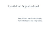 Creatividad Organizacional José Pedro Terrés Hernández Administración de empresas.