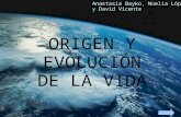 ORIGEN Y EVOLUCIÓN DE LA VIDA Anastasia Bayko, Noelia López y David Vicente.