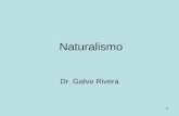 1 Naturalismo Dr. Galve Rivera. 2 Antes del realismo y el naturalismo encontramos el romanticismo.