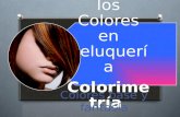 Los Colores en peluquería Colorimetr ía Colores base y fantasía.