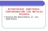 ESTRATEGIAS SANITARIA: CONTAMINACIÓN CON METALES PESADOS RESOLUCIÓN MINISTERIAL Nº 425- 2008/MINSA.
