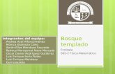 Bosque templado Ecología 602-2 Físico-Matemático Integrantes del equipo: ¤Andrea Itzel Alfaro Jiménez ¤Mónica Espinoza Cano ¤Aarón Elías Mendoza Saucedo.