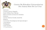 Centro De Estudios Universitarios Sor Juana Inés De La Cruz.