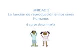 UNIDAD 2 La función de reproducción en los seres humanos 6 curso de primaria.
