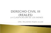 LA CLASIFICACIÓN DE LOS BIENES DRA. MILUSHKA ROJAS ULLOA Dra. Milushka F. Rojas Ulloa.