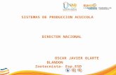 SISTEMAS DE PRODUCCION ACUICOLA COD. 201508 DIRECTOR NACIONAL OSCAR JAVIER OLARTE BLANDON Zootecnista- Esp.ESD.