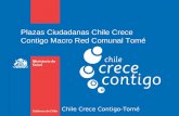 Chile Crece Contigo-Tomé Plazas Ciudadanas Chile Crece Contigo Macro Red Comunal Tomé.