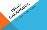 ISLAS GALÁPAGOS ANA MARÍA SILVA GANDO. UBICACIÓN Las islas Galápagos están a 972 kilómetros al oeste de las costas del Ecuador continental y forman un.