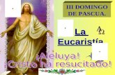 III DOMINGO DE PASCUA. La Eucaristía.. SALUDO INICIAL. Nos reunimos en el nombre del Señor.