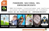 PANORAMA NACIONAL DEL EMPRENDIMIENTO 800 Entidades inventariadas que realizan acciones en emprendimiento en Colombia. FASES DE UN PROGRAMA DE EMPRENDIMIENTO.