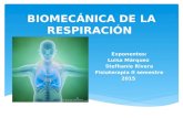 BIOMECÁNICA DE LA RESPIRACIÓN Exponentes: Luisa Márquez Stefhanie Rivera Fisioterapia II semestre 2015.