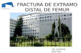 FRACTURA DE EXTRAMO DISTAL DE FEMUR DR. MARTIN BOTTOS.