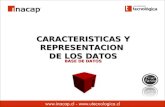 CARACTERISTICAS Y REPRESENTACION DE LOS DATOS BASE DE DATOS.
