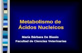 Metabolismo de Ácidos Nucleicos María Bárbara De Biasio Facultad de Ciencias Veterinarias.