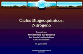Copyright © Maestra Providencia Laracuente Ciclos Biogeoquímicos: Nitrógeno Preparado por: Providencia Laracuente Esc. Superior Luis Negrón López Ciencias.