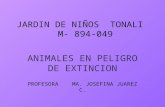 JARDIN DE NIÑOS TONALI M- 894-049 ANIMALES EN PELIGRO DE EXTINCION PROFESORA MA. JOSEFINA JUAREZ C.