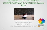 Ley Núm. 220 / Ley Especial COOPERATIVAS JUVENILES Puerto Rico Mildred Santiago Ortiz Directora Ejecutiva Liga de Cooperativas de Puerto Rico.