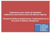 Sudamérica como núcleo de identidad. Implicancia como futuro marco de defensa regional. ¨Consejo de Defensa Sudamericano. Conformación de un foro para.