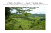 FINCA FARESAN – CLIENTE DEL BDA Comunidad de Caño Quebrado, corregimiento de Achiote, distrito de Chagres, Provincia de Colón.