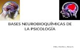 BASES NEUROBIOQUÍMICAS DE LA PSICOLOGÍA Mtte. Martha L. Pérez H.