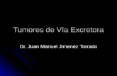 Tumores de Vía Excretora Dr. Juan Manuel Jimenez Torrado.