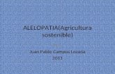 ALELOPATIA(Agricultura sostenible) Por: Juan Pablo Campos Lozada 2011.