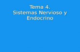 Tema 4. Sistemas Nervioso y Endocrino. ► Los organismos están compuestos de multitud de órganos y aparatos que deben trabajar de manera coordinada para.
