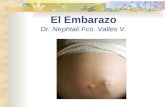 El Embarazo Dr. Nephtali Fco. Valles V.. Síntomas Generales en el Embarazo Amenorrea. Náuseas sobre todo por la mañana Tensión en las mamas. Molestias.