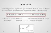ESTERES Son compuestos orgánicos, que resultan de la reducción de los ácidos con los alcoholes, este proceso se llama Esterificación ACIDO + ALCOHOL ESTER.
