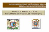 PROGRAMA INSTITUCIONAL DE TUTORÍA 2012-2013 Nuevo papel de la tutoría en el Plan de Desarrollo de la UNAM, 2011-2015, se instituye en toda la Universidad.