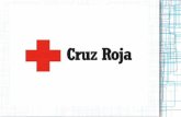 ¿Qué es la Cruz Roja? Es un grupo de muchos caridades con los mismos objetivos Todos los miembros siguen los Principios Fundamentales Los siete principios.
