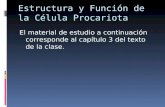 Estructura y Función de la Célula Procariota El material de estudio a continuación corresponde al capítulo 3 del texto de la clase.