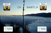 CH NANTLA La experiencia del comité de Recursos Naturales de la Chinantla: “El desarrollo social sustentable de la microcuencas de los ríos Perfume Tlatepusco.