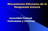 Mecanismos Efectores de la Respuesta Inmune  Inmunidad Humoral  Anticuerpos y Citokinas.