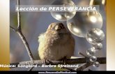 Lección de PERSEVERANCIA Música: Songbird – Barbra Streisand .