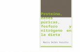 Proteína, bases púricas, fosforo y nitrógeno en la dieta María Belén Peralta.