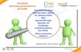 Lineamientos generales para el desarrollo del aprendizaje desde el trabajo colaborativo en AVA (Documento VIACI) Ruth Esther Martínez CCAV Eje Cafetero.