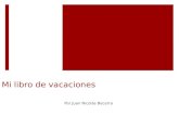 Mi libro de vacaciones Por Juan Nicolás Becerra. El Palacio de la Medianoche  Autor: Carlos Ruiz Zafón  Novela de fantacia y aventura  Literatura castellana.