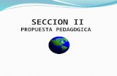 SECCION II PROPUESTA PEDAGOGICA. CREACION DE UNA UNIDAD CURRICULAR.