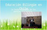 Educación Bilingüe en Chile La lucha constante de los pueblos originarios.