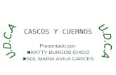 CASCOS Y CUERNOS Presentado por:  KATTY BURGOS CHICO  SOL MARIA AVILA GARCES.
