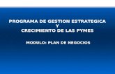 PROGRAMA DE GESTION ESTRATEGICA Y CRECIMIENTO DE LAS PYMES MODULO: PLAN DE NEGOCIOS.